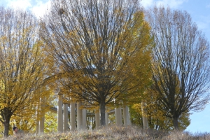 Stuttgart Süd - Arboretum Hohenheim